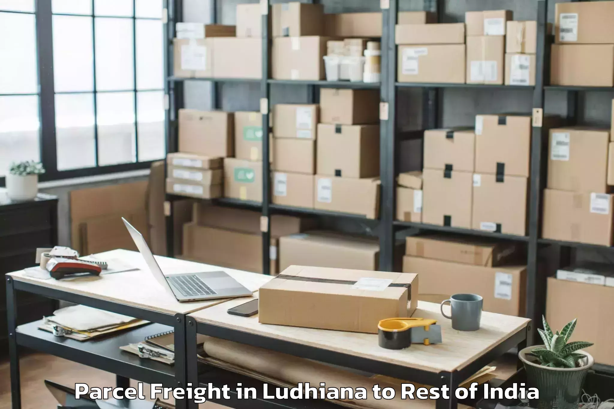 Top Ludhiana to Kokernag Parcel Freight Available